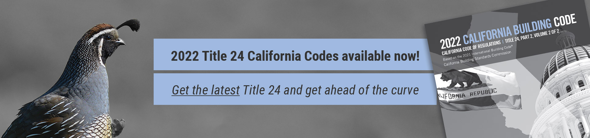 Home Page Slider